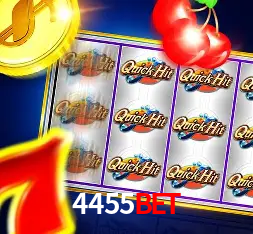 Interface Premium 4455bet